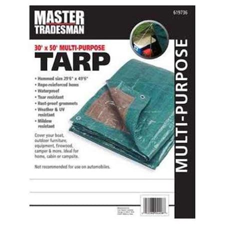 Master Tradesman 619736RD 30 X 50 Ft. Polyethylene Storage Tarp Cover - Hunter Green & Brown